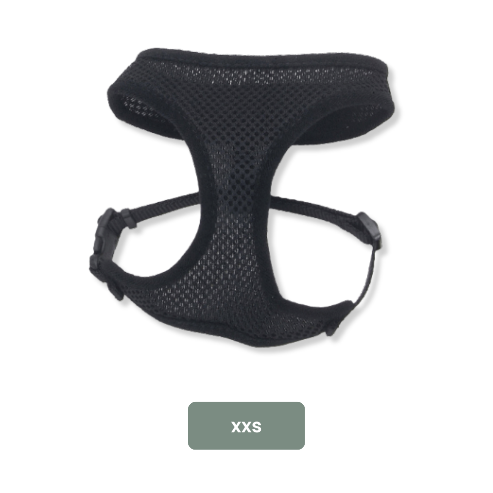 Coastal Comfort Soft Harness Black
