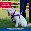 Coastal Comfort Soft Harness Black