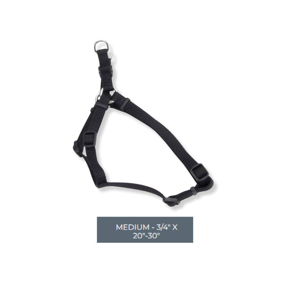 Coastal Comfort Wrap Adjustable Harness Black