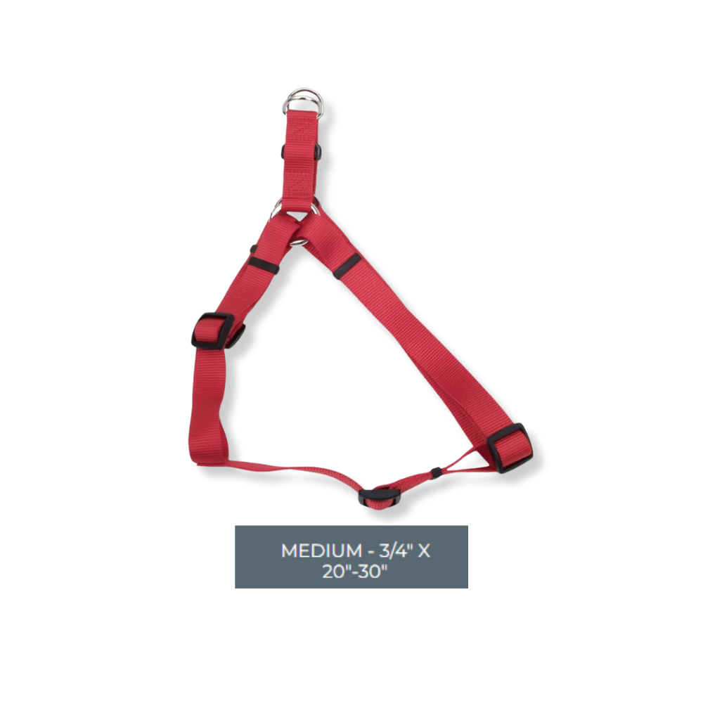 Coastal Comfort Wrap Adjustable Harness Red