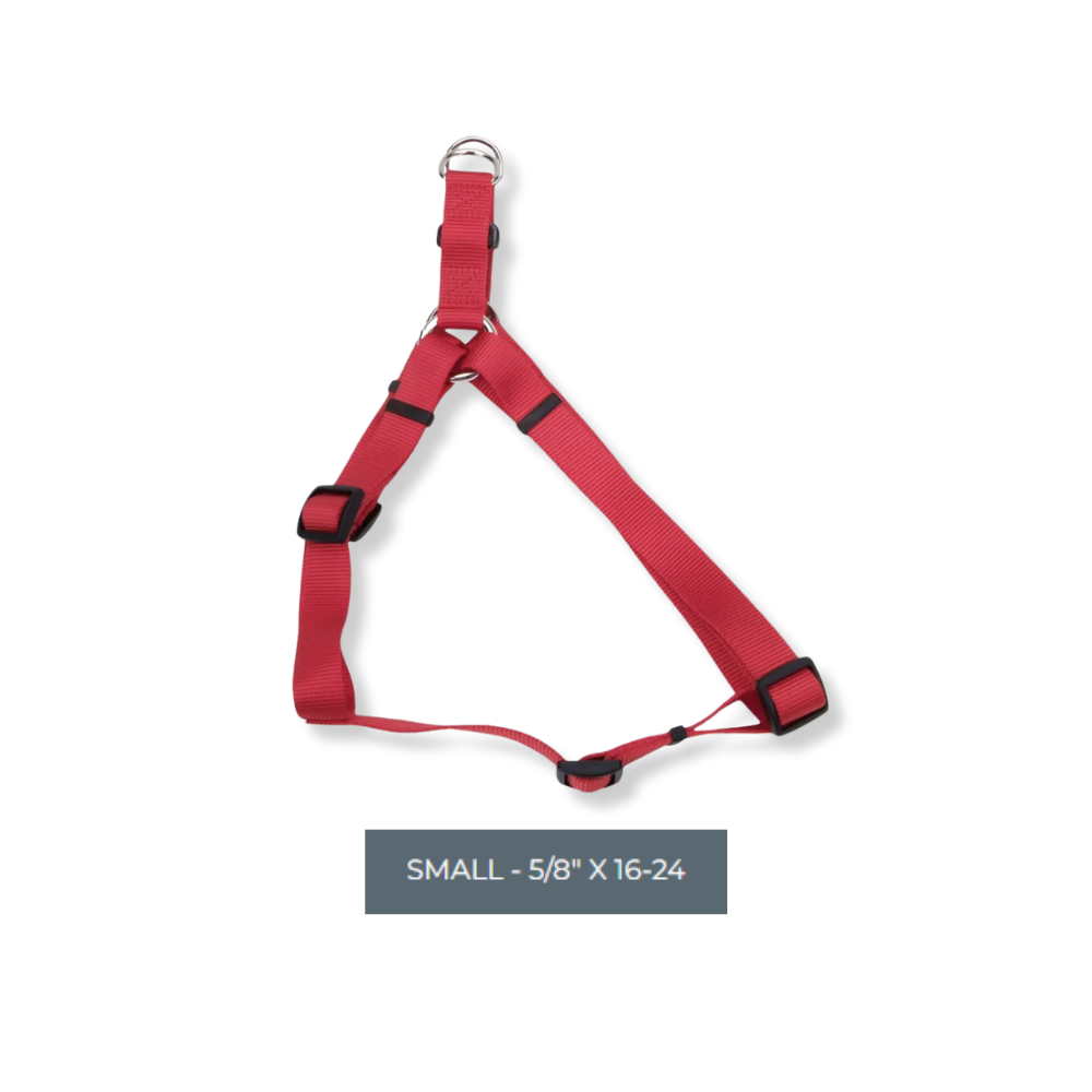 Coastal Comfort Wrap Adjustable Harness Red