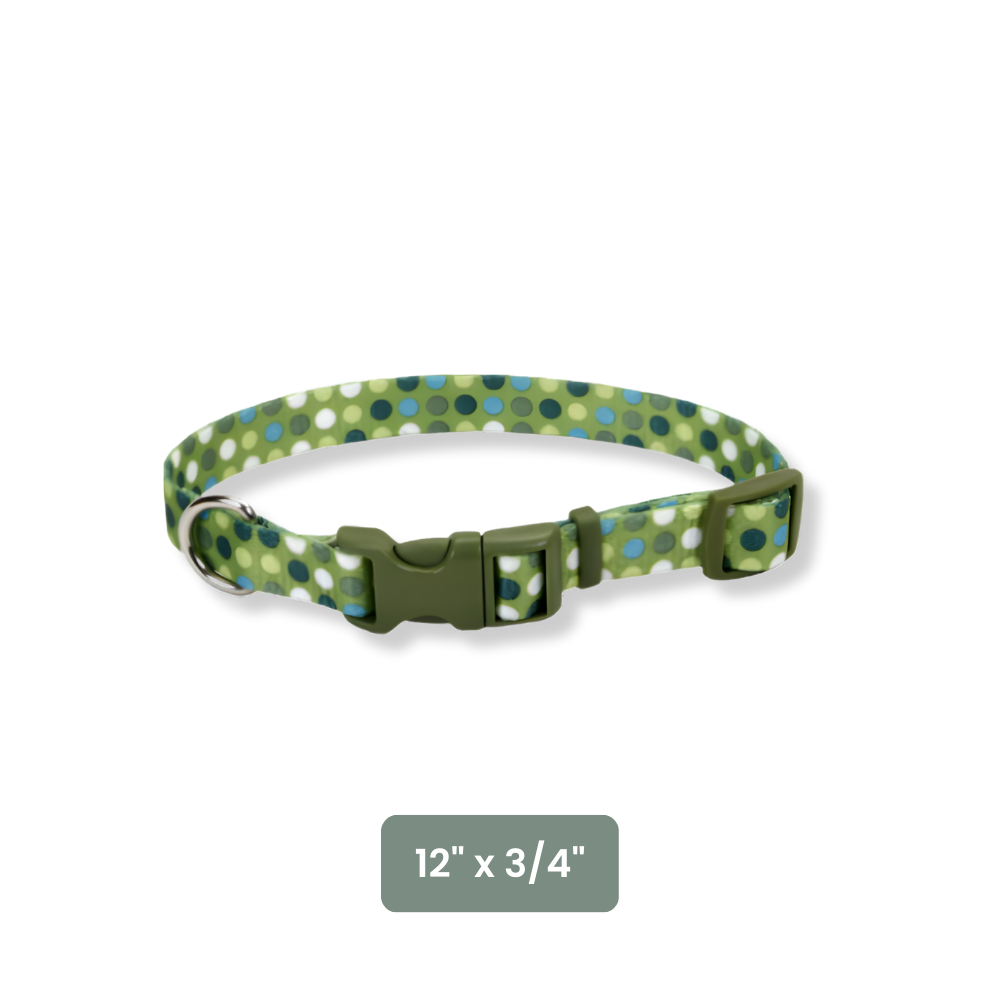 Coastal Green Dots Collar