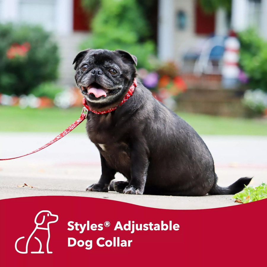 Coastal Green Dots Collar