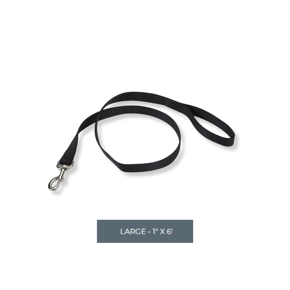 Coastal Nylon Lead Black 1" Width