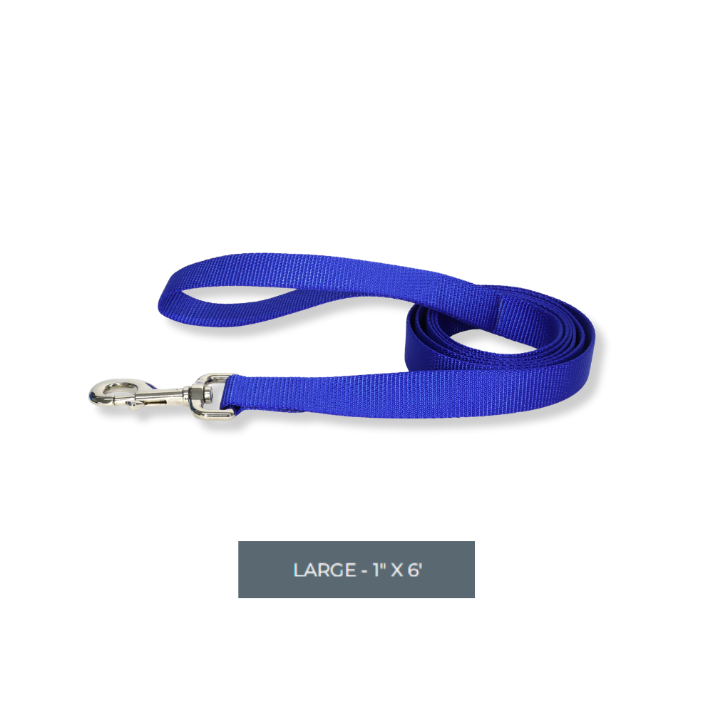 Coastal Nylon Lead - Blue