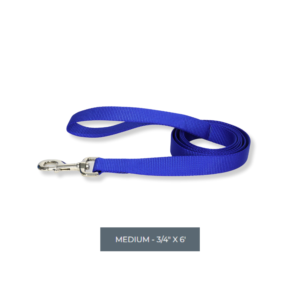 Coastal Nylon Lead - Blue