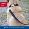 Coastal Nylon Lead - Red
