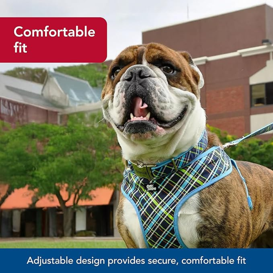 Coastal Red Paw Nylon Collar