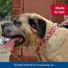 Coastal Red Paw Nylon Collar