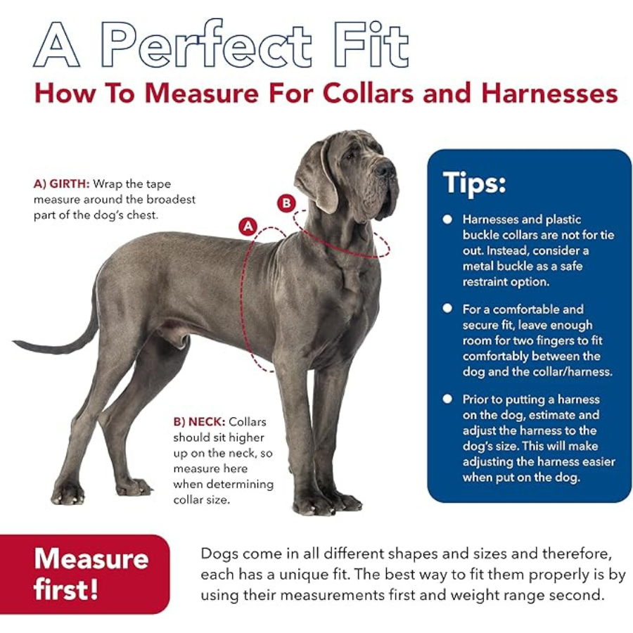 Coastal Red Paw Nylon Collar