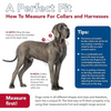 Coastal Red Paw Nylon Collar