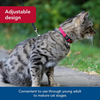 Coastal Breakaway Soy Cat Collar - Tiger Pattern