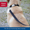Coastal Soy Lead Black