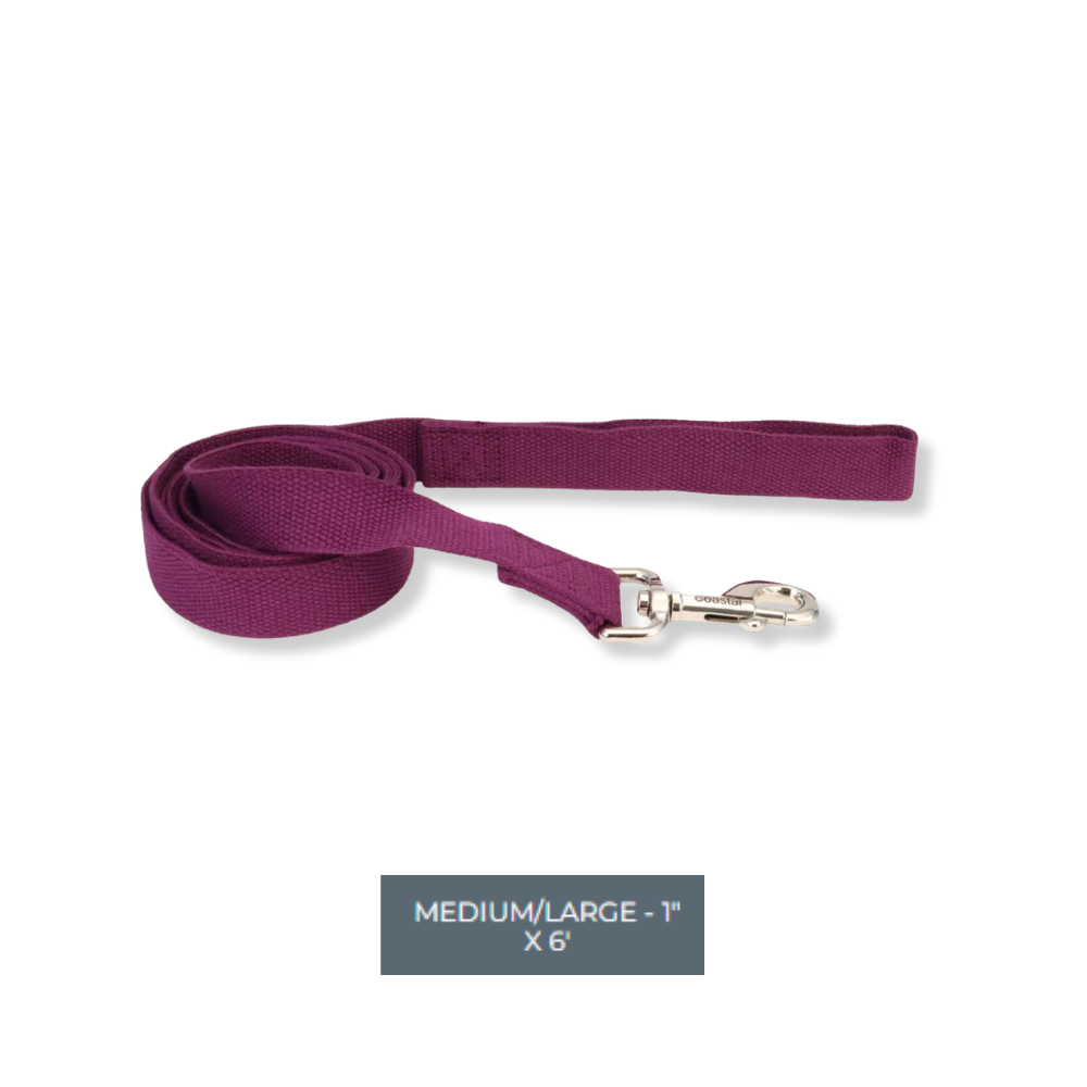 Coastal Soy Lead Eggplant