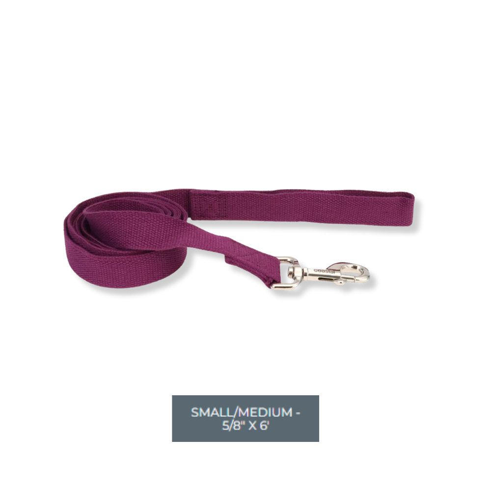 Coastal Soy Lead Eggplant