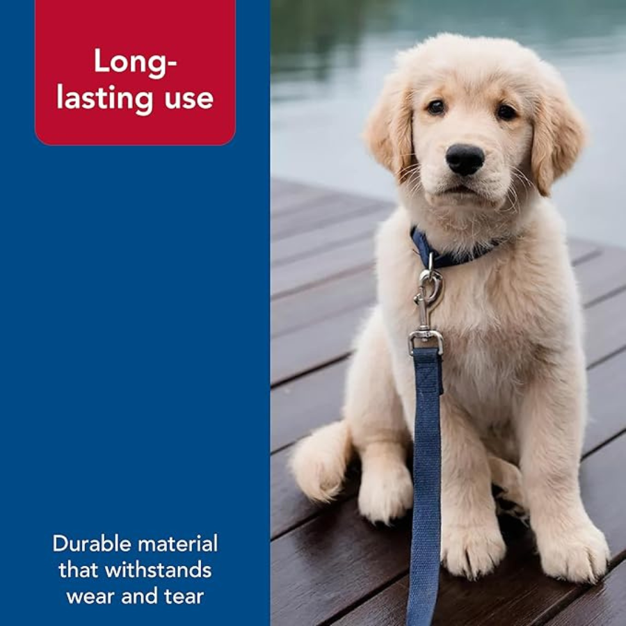 Coastal Soy Lead Indigo