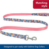 Coastal Sublime Leash Yellow Chevron Aztec