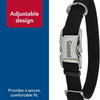 Coastal Titan Nylon Collar with Metal Buckle - Red