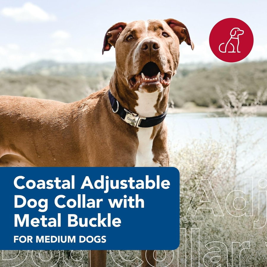 Coastal Titan Nylon Collar with Metal Buckle - Red