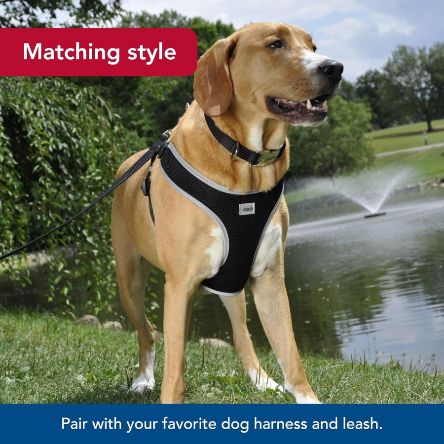 Coastal Titan Nylon Collar with Metal Buckle - Red