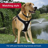 Coastal Titan Nylon Collar with Metal Buckle - Red