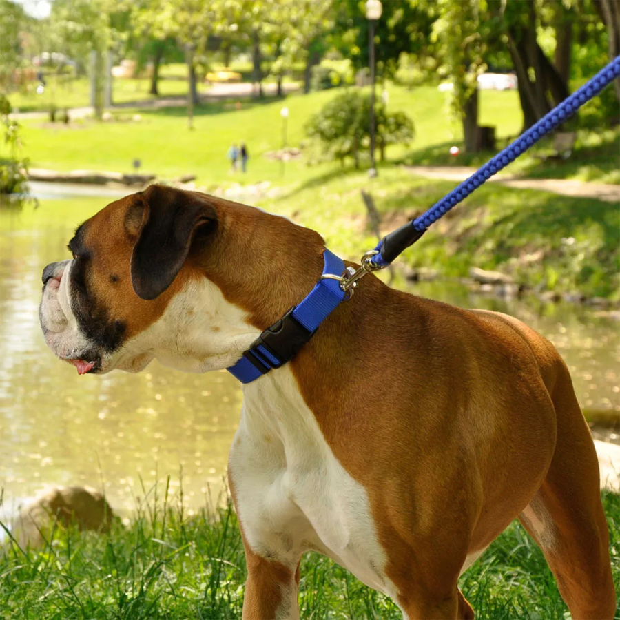 Coastal Tuff Nylon Collar - Red
