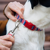 Coastal Blue Plaid Bones Leash