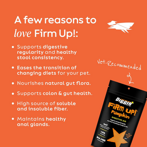 Diggin' Your Dog - Firm Up! Pumpkin Supplement