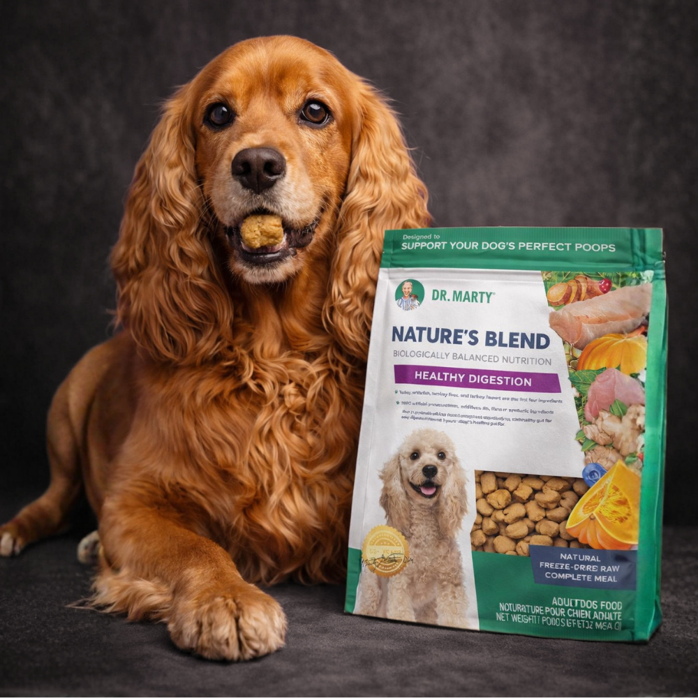 Dr. Marty Nature's Blend Freeze-Dried Raw - Healthy Digestion
