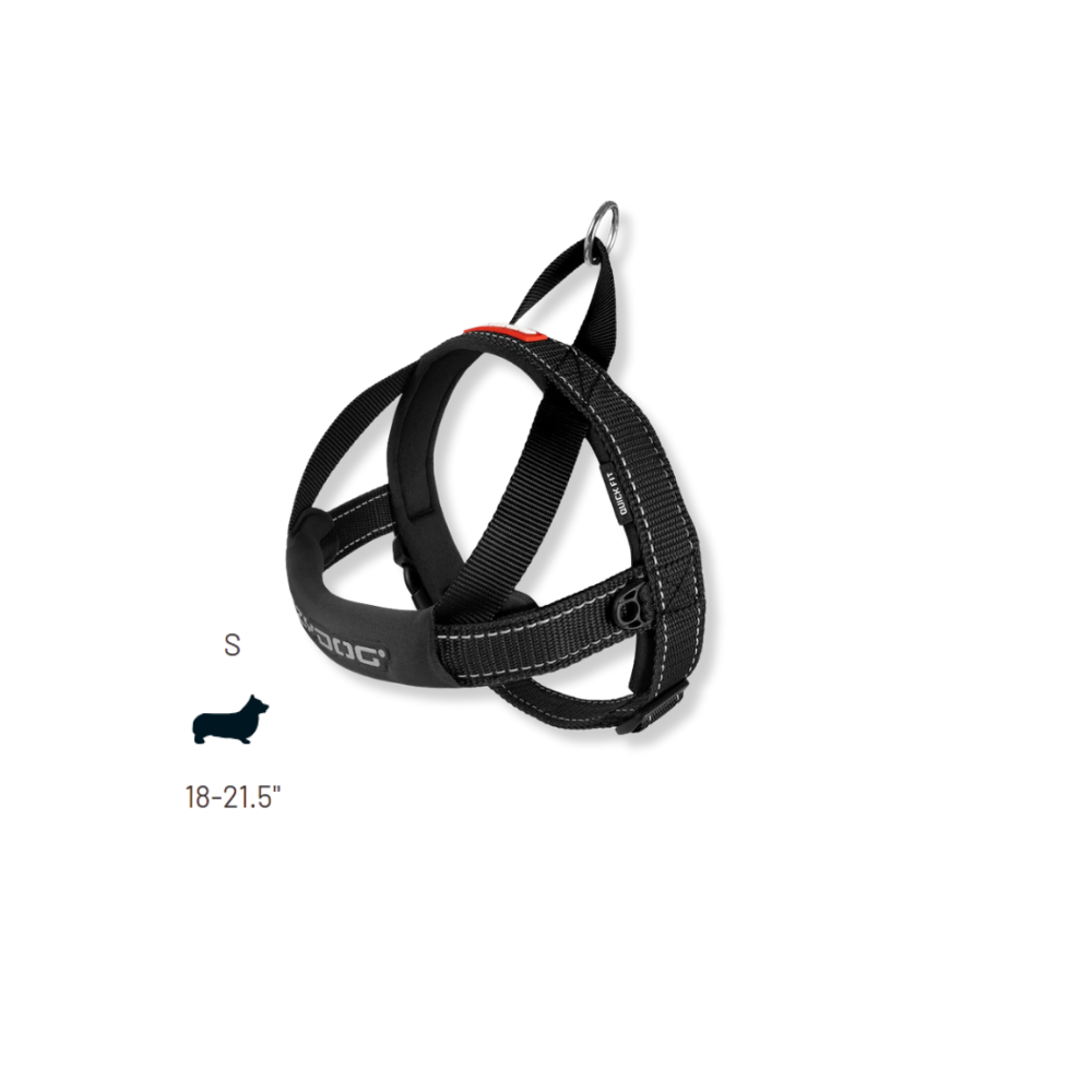 EZYDOG Quick Fit Dog Harness - Black