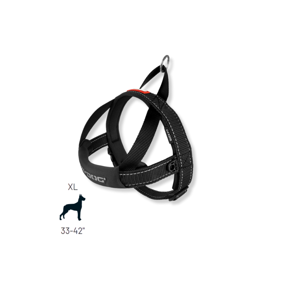 EZYDOG Quick Fit Dog Harness - Black