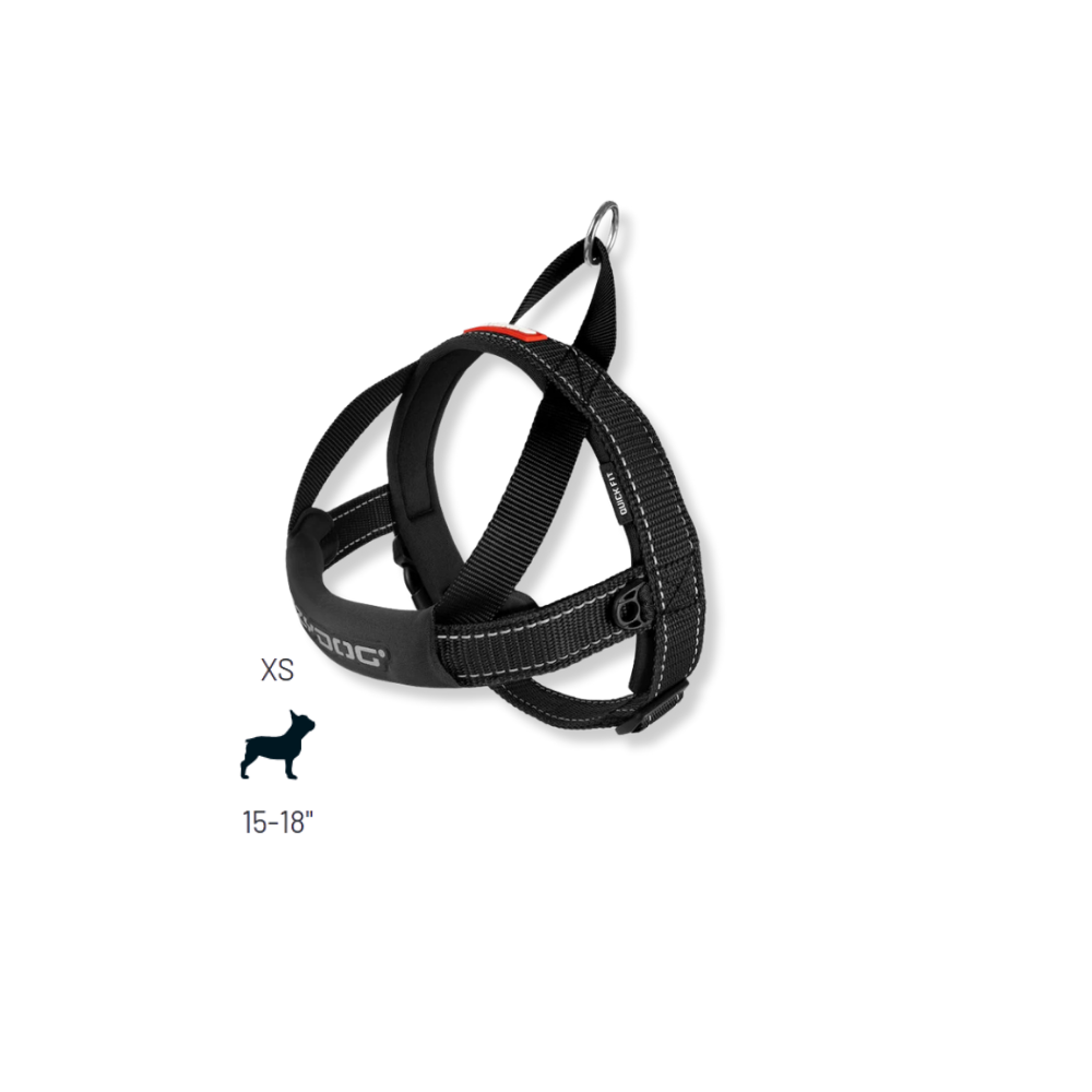 EZYDOG Quick Fit Dog Harness - Black