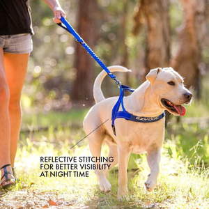 EZYDOG Quick Fit Dog Harness - Black