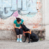 EZYDOG Quick Fit Dog Harness - Red