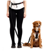 EZYDOG Road Runner Lead - Black (7')