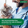 Elanco Advantage II Flea Treatment for Cats - 4 kg and over
