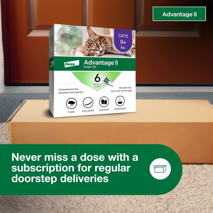 Elanco Advantage II Flea Treatment for Cats - 4 kg and over