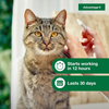 Elanco Advantage II Flea Treatment for Cats - 4 kg and over