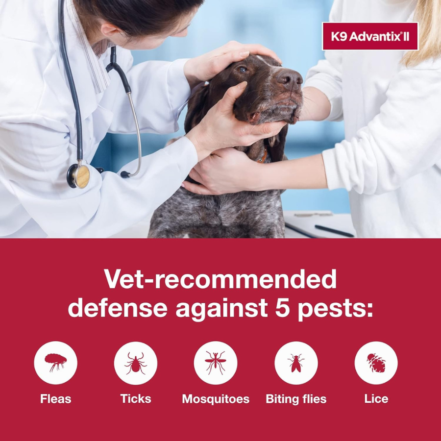Elanco K9 Advantix II Extra Large Dog Topical Flea and Tick Treatment - Over 25 kg