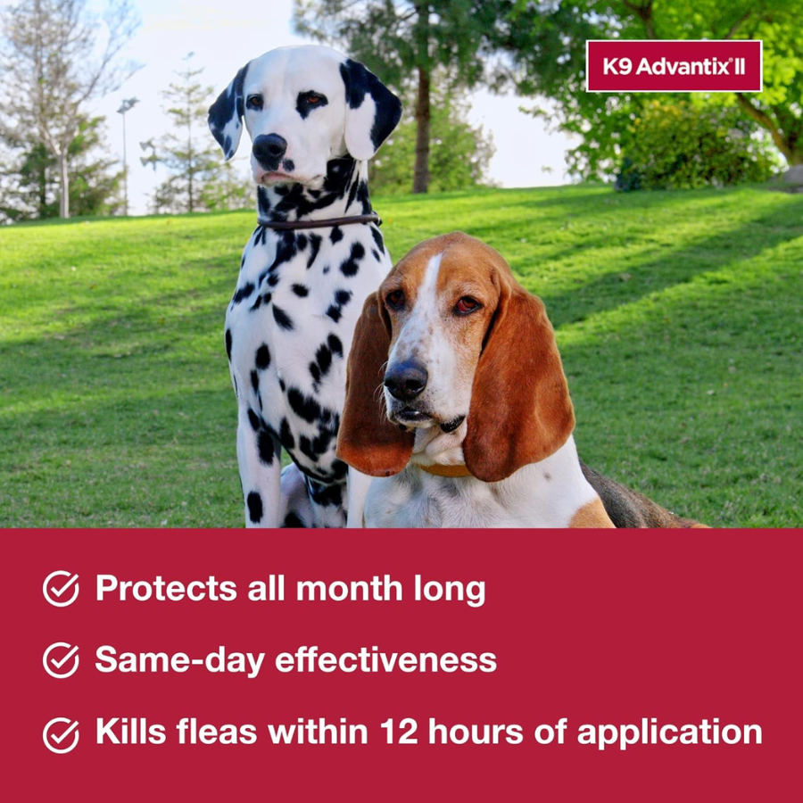 Elanco K9 Advantix II Extra Large Dog Topical Flea and Tick Treatment - Over 25 kg