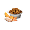 Farmina N and D Ocean Kitten Cat Food Formula - Cod, Shrimp, Pumpkin and Cantaloupe - 4 lbs