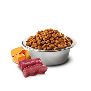 Farmina N and D Venison, Pumpkin and Apple - Mini Adult 4.4 lbs