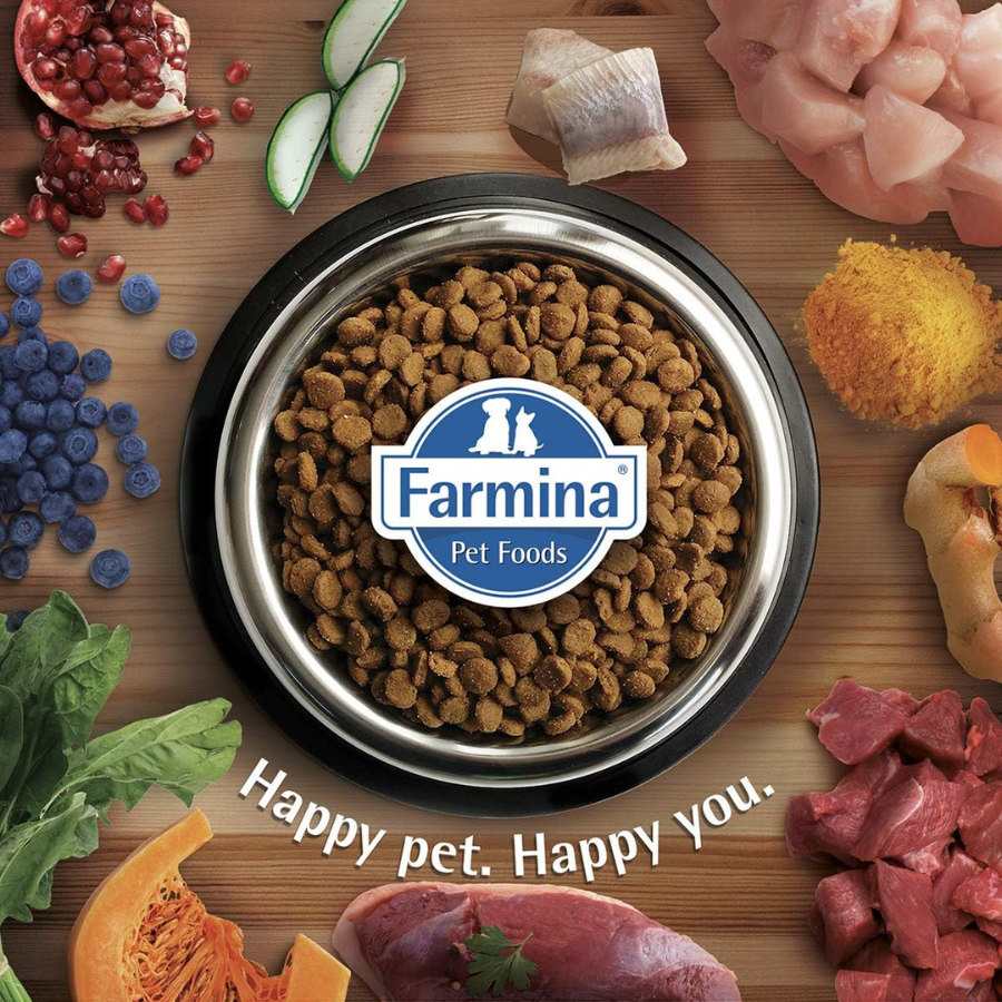 Farmina N and D Pumpkin, Lamb and Blueberry - Medium and Maxi Dogs