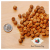 Fromm Family Four-Star Grain-Free Beef Frittata Vegetables
