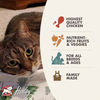 Fromm Family Four-Star Grain-Free Chicken Au Frommage for Cats - 4 lbs