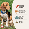 Fromm Family Four-Star Grain-Free Game Bird