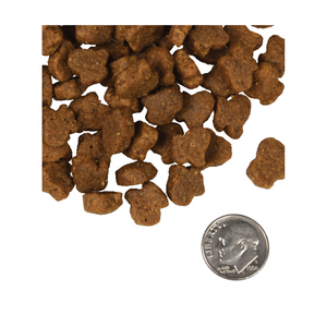 Fromm Family Four-Star Grain-Free Hasen Duckenpfeffer