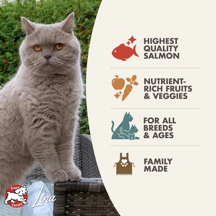 Fromm Family Four-Star Grain-Free Salmon Tunachovy for Cats