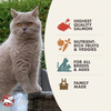 Fromm Family Four-Star Grain-Free Salmon Tunachovy for Cats