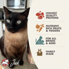 Fromm Family Four-Star Grain-Free Surf and Turf for Cats